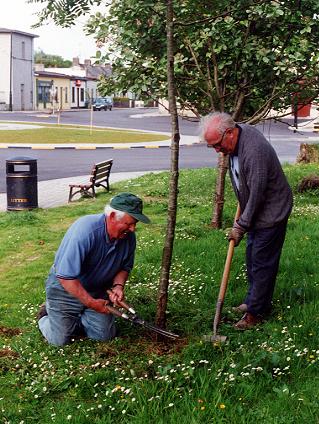 1055.  Tidy Towns Competition Volunteers