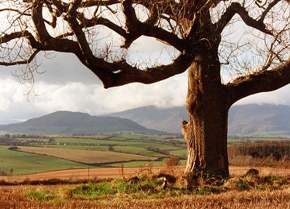 1151.  Cruachn from Sallaheen (November)