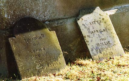 1154.  Pets' Headstones, Cldagh House - 1913 to 1923