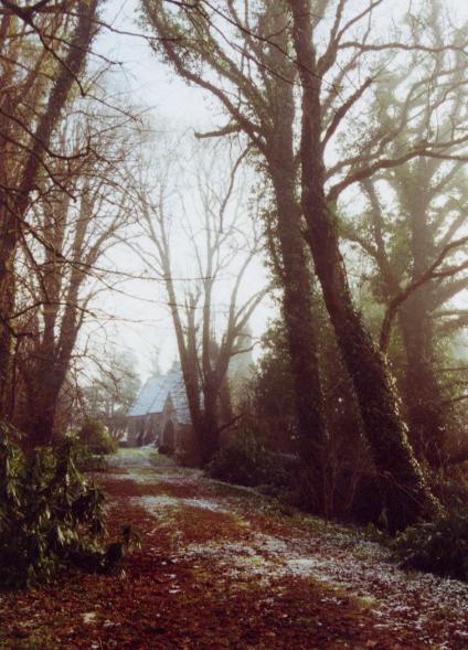 1203.  Freezing fog at Guilcagh Church