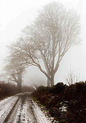 1205.  Bleak Clonea road